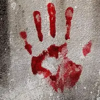 گزارشی از جزئیات قتل «علیرضا محمدی» وکیل دادگستری 