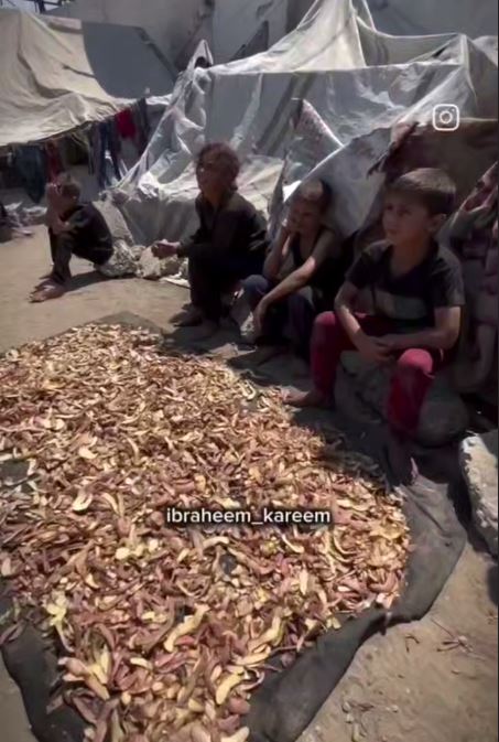 وضعیت انسانی بغرنج غزه؛ کودکان پوست سیب‌زمینی می‌خورند