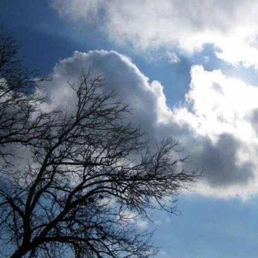 هوای تهران به مرز قرمز رسید؛ احتمال بارش رگباری در روزهای آینده