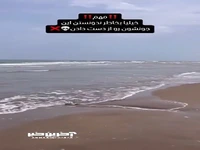  علائم و هشدارهای مورد توجه در دریا