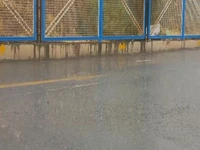 باران شدید در شهر جدید بینالود
