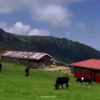 روستای ییلاقی اولسبلنگاه ماسال