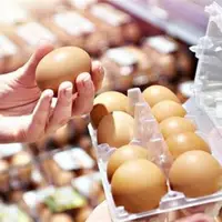 قیمت خرید حمایتی تخم مرغ اعلام شد