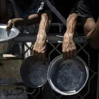 گرسنگی و فریب