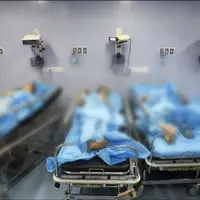 بررسی علت عوارض گوارشی 12 دانشجوی دانشگاه شیراز