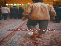 کلیپ «صاحب اصلی حرم» با نوای کربلایی امین قدیم