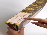 کتابی سه بعدی و بسیار جالب از اختراعاتِ لئوناردو داوینچی  