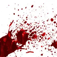 معمای قتل هولناک مادر و 3 کودکش