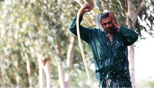ماندگاری هوای گرم و مرطوب در گیلان