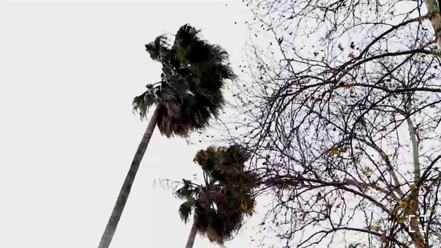 ثبت‌نام بیش از 21 هزار زائر آذربایجان شرقی در سامانه سماح