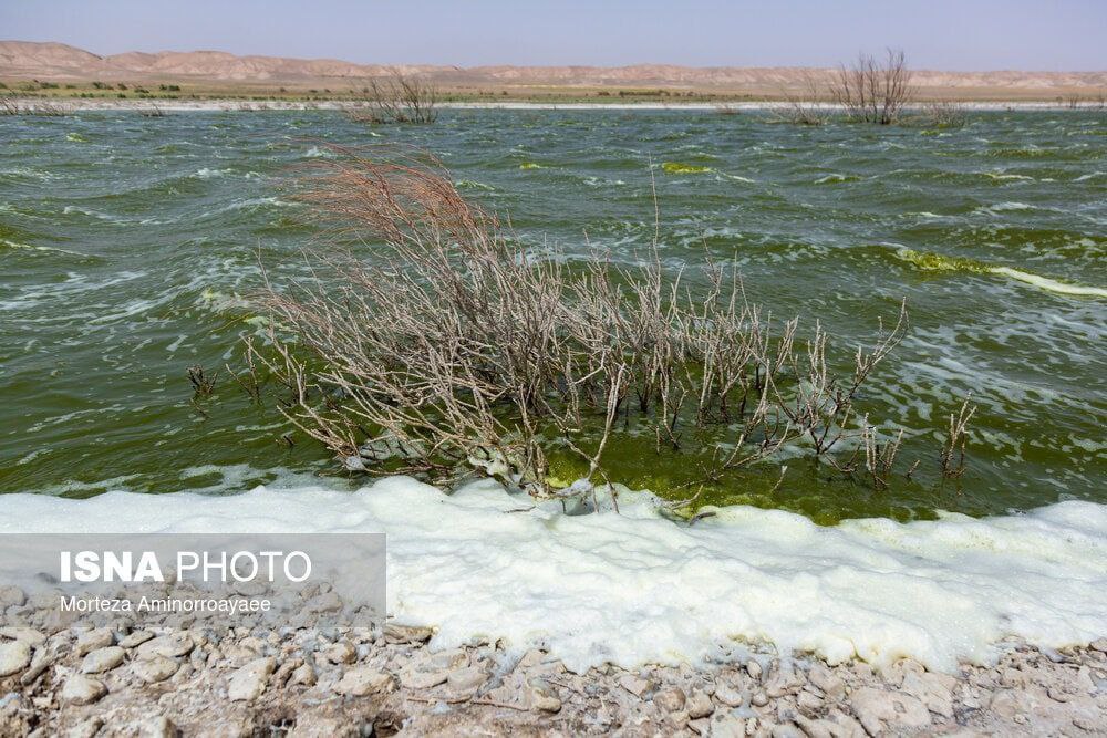 عکس/ فاجعه زیست محیطی در «اسحاق آباد» استان خراسان رضوی