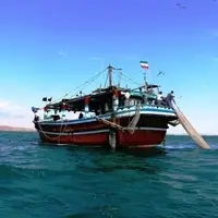 تغییر زمان آزادسازی فصل صید میگو در استان بوشهر
