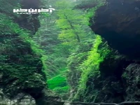 آمازون ایران این جاست 