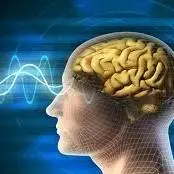 مغز چطور تجربه یک اتفاق را به احساس تبدیل می‌کند؟  