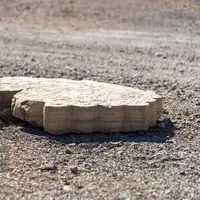 کشف سنگ قبر متعلق به قرن ۵ هجری قمری در یزد