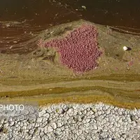 عکس/ فاجعه زیست محیطی در «اسحاق آباد» استان خراسان رضوی