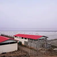 واگذاری ۳۴۶ هکتار زمین برای احداث بزرگترین مجتمع گلخانه‌ای کشور در مغان