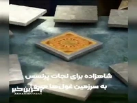 پیش به سوی نجات پرنسس