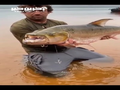 شکار هیولای رودخانه آمازون