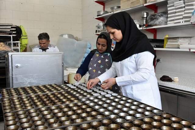 بودجه مشاغل خانگی بیشتر می‌شود