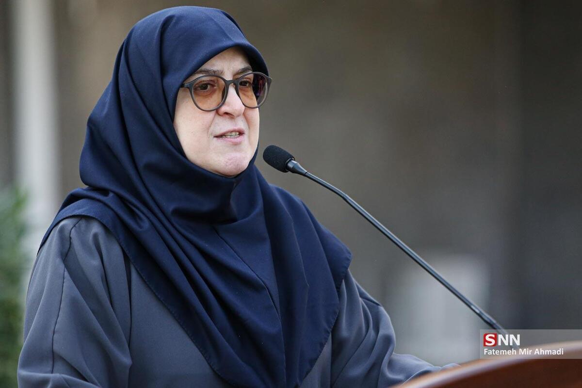 آخرین خبر از تعطیلی تهران؛ سخنگوی دولت: تصمیم نهایی فردا اخذ می‌شود