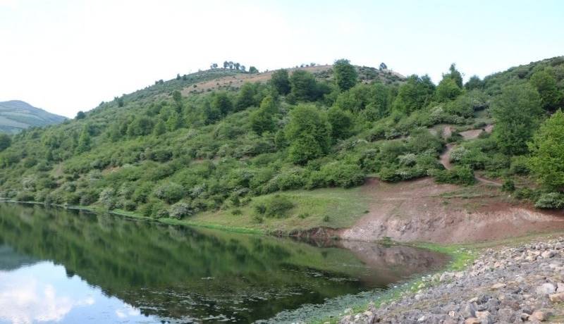 پیکر پیرمرد گمشده 78ساله در جنگل‌های کجور پیدا شد