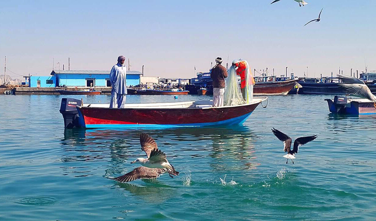 عربستان ۱۲ صیاد استان بوشهر را آزاد کرد