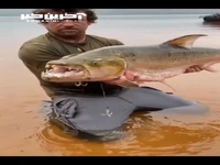 شکار هیولای رودخانه آمازون