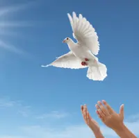 آزادی ۱۴۸ زندانی از ابتدای سال در همدان