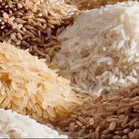 ناترازی در بازار برنج؛ از انحصار نوع ایرانی تا گم شدن نوع خارجی