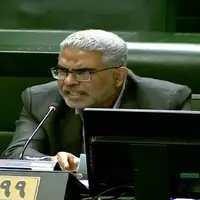 صمصامی: مجلس نتوانست از سفره مردم صیانت کند