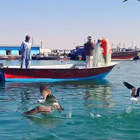 عربستان ۱۲ صیاد استان بوشهر را آزاد کرد