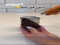 ساخت جاشمعی زیبا با استفاده از کاج