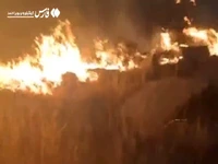 تصاویری از آتش‌سوزی کوه سیاه چاروسا