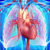 پیام مخاطبی که تمام اعضای بدنش مخالف بدن یک انسان عادی قرار دارد!