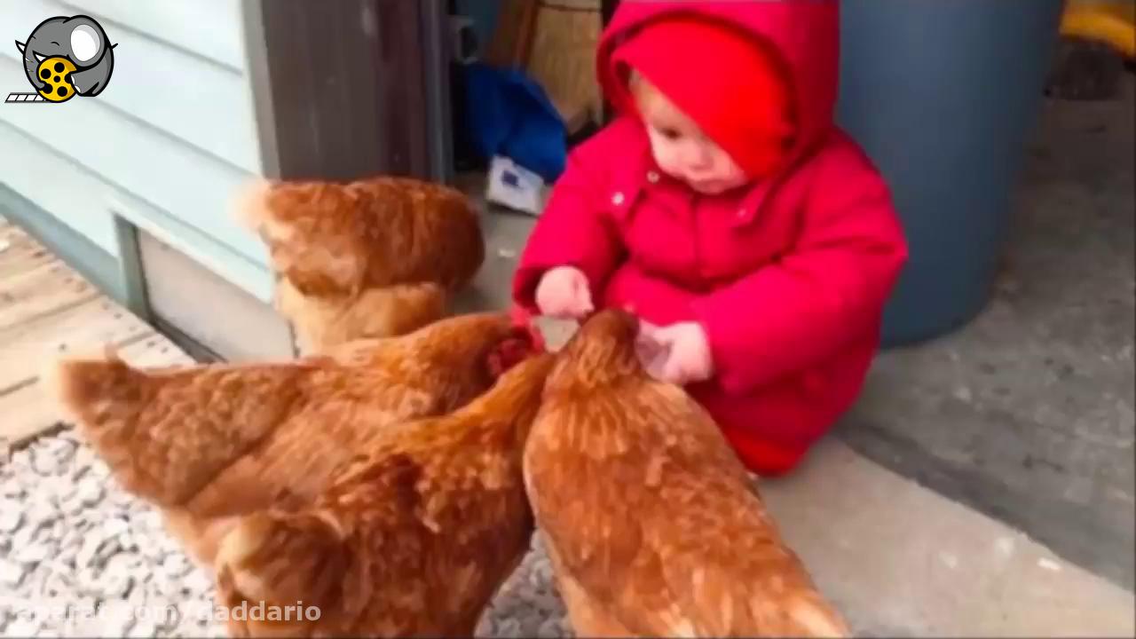 وقتی میگی رابطه من با حیوانات خیلی خوبه!