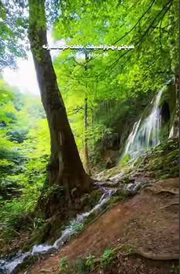 طبیعت زیبا و آرامش بخش