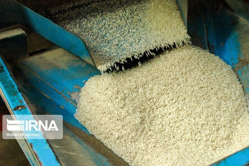 رکود بازار و اختلاف قیمت برنج در شالیکوبی‌های مازندران