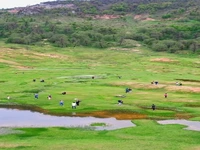 طبیعت بکر برفچال 