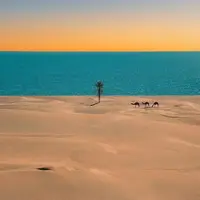تصویری چشم نواز از جایی که کویر و دریا به هم می‌رسند