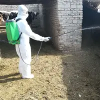 سمپاشی ۶۱۵ هزار مترمکعب جایگاه دامی در لرستان