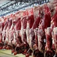 واردات میلیاردی گوشت قرمز، راه‌حل یا مانع تولید داخلی؟