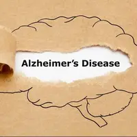 تاثیر یک ماده مغذی در پیشگیری از آلزایمر