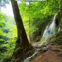 طبیعت زیبا و آرامش بخش