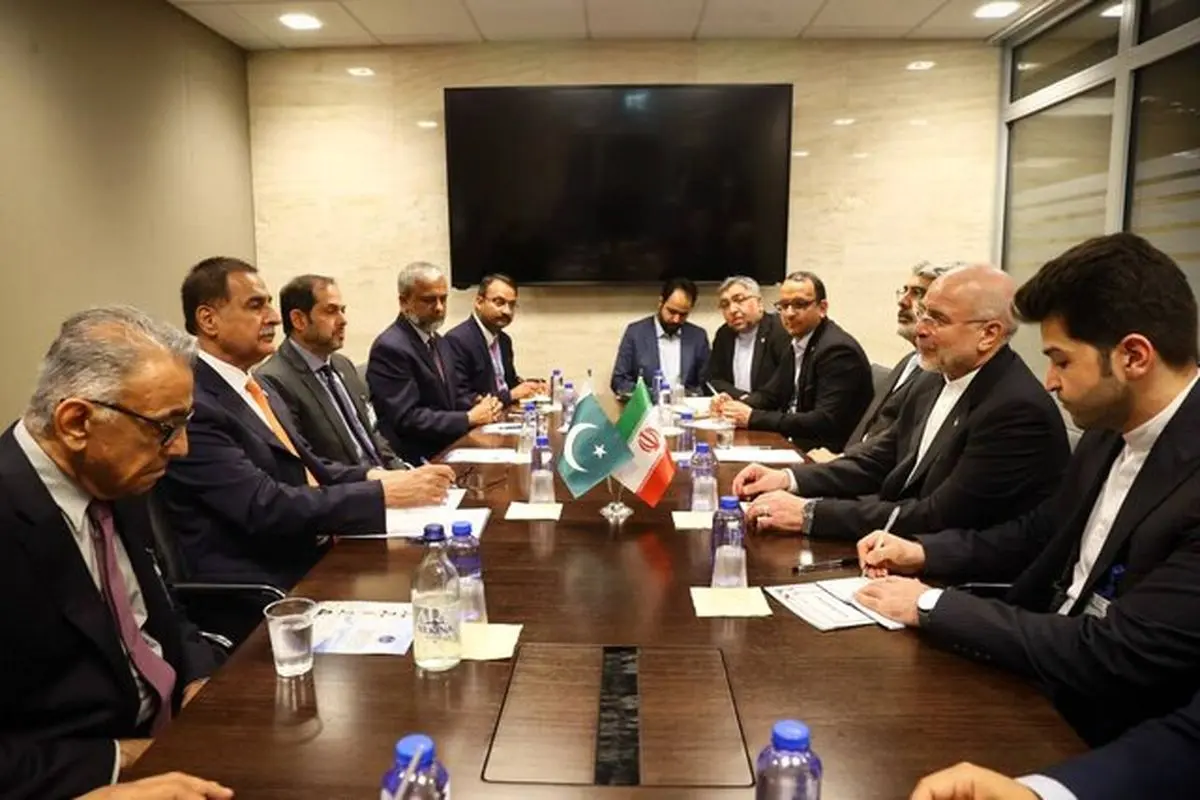 دیدار روسای مجالس ایران و پاکستان