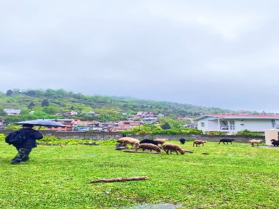 روستای زیبای سینوا در مازندران