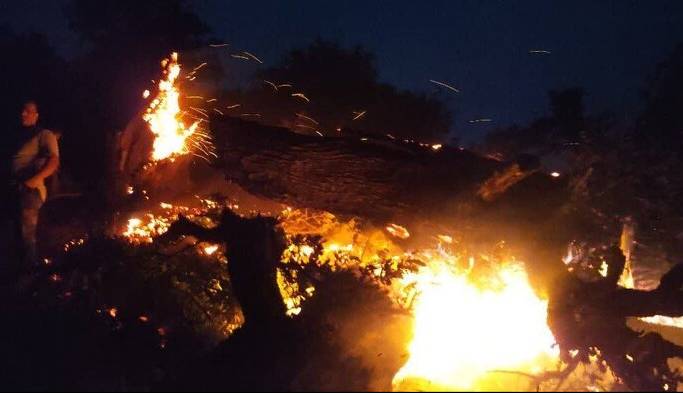 آتشسوزی یک ساختمان مسکونی در جنوب غرب تهران؛ ۴عضو خانواده جانباختند