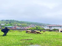  روستای زیبای سینوا در مازندران