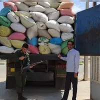 کشف‌وتوقیف ۱۳ تن پسته جنگلی قاچاق در سرخس