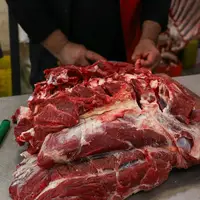 قیمت گوشت قرمز امروز ۹ مرداد ۱۴۰۴